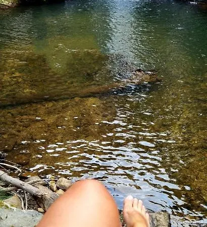 Дом отдыха Quintinha Do Valhascos